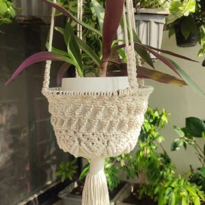Exclusive plant hanger